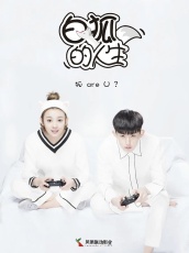 Жизнь белого лиса смотреть онлайн